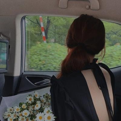 龟女士的奥德赛